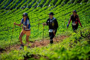 BIB: 428
                            <button type="button" onclick="openModal(19162345)" class="btn btn-primary btn-sm float-right btn-popup" data-toggle="modal" data-target=".modal-high-quality">
                        <i class="fas fa-shopping-cart"></i> Add to Cart
                    </button>
                                            <button type="button" onclick="isThisMe(19162345, true)" class="btn btn-success btn-sm float-right btn-popup btn-isme hidden" data-toggle="tooltip" data-placement="bottom" title="นี่คือรูปของคุณใช่ไหม คลิกที่นี่เพื่อเอาเข้าอัลบั้ม">
                        <i class="fas fa-plus"></i> Add to album
                    </button>
                    <button type="button" onclick="isThisMe(19162345, false)" class="btn btn-warning btn-sm float-right btn-popup btn-isnotme hidden">
                        <i class="fas fa-ban"></i> Remove from album
                    </button>